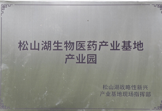 恒医生物